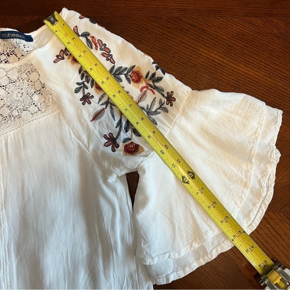 Blu Heaven (By UmGree) Floral Embroidered Crochet Mini Dress. Size: Small. - Picture 10 of 12